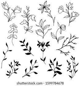 Black and white botanical doodles. Hand drawn graphic design elements for patterns, cards, paperwork, craft projects. Vector illustration.