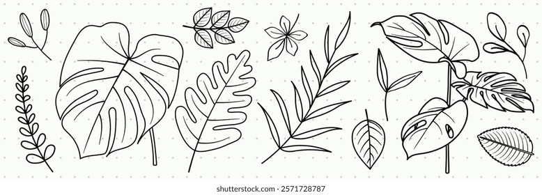 Black and white botanical illustration featuring various leaves and plants. Leaf designs include monstera, palm, and fern. Simple leaf and plant outlines. Botanical doodle vector set.