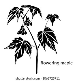 A black and white botanical illustration of a flowering malpe (Chinese bellflower, abutilon) branch. Usage: as an illustration, company logo, trademark, logotype