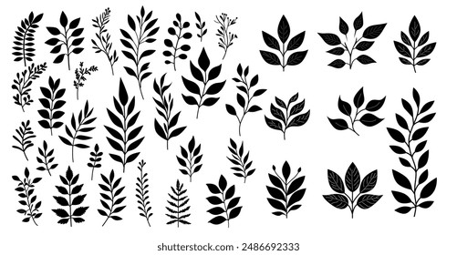 Black and white botanical leaf silhouette set isolated on white. Vector set of isolated foliage elements perfect for branding, packaging, logos, prints and decorative design projects.