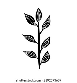 Ilustración botánica en blanco y negro de césped en forma de dibujos a mano estilo caricatura de doodle.v Arte natural decorativo mínimo aislado en fondo blanco.