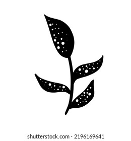 Black and white botanical vector illustration grass in doodle cartoon style hand drawn. Minimal decorative natural art branch isolated on white background.