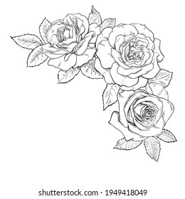 Black and white bouquet of roses.  Decorative hand drawn corner element for tattoo, greeting card, wedding invitation. Vector illustration in vintage engraving style isolated on white background.