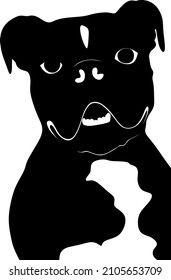 Black and White Boxer Dog Vector