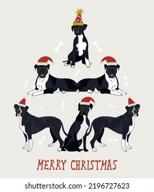 Black and white Boxer dogs wearing winter hats. Cute funny dogs. Character design. Abstract Christmas tree. Vector illustration. Merry Christmas greeting card with cute funny dogs. Boxer character.