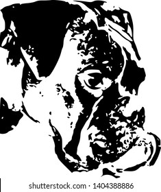 Black and white boxer head