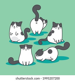 Black and white breed cat cartoon characters. Playful pet. Bundle set vector graphics. Funny and happy lovely kitten playing.