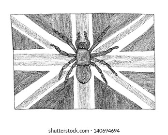Black and white british united kingdom flag spider print t-shirt engraving illustration. Funny vector print.