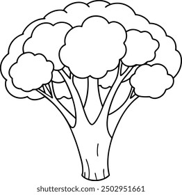 Black And White Broccoli Illustration For Coloring Pages