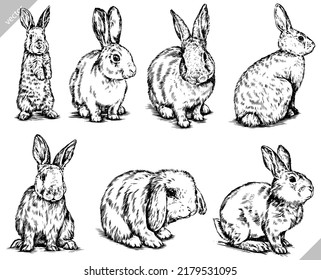 black and white brush painting ink draw isolated rabbit set vector illustration