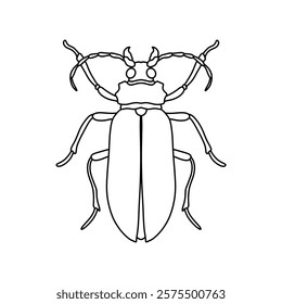 black and white bug outline vector illustration