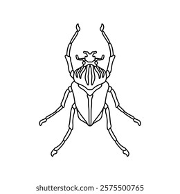 black and white bug outline vector illustration