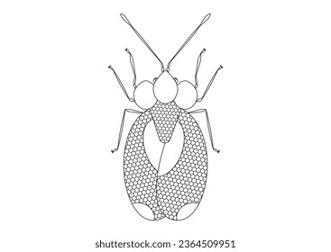 Black and White Bug Stephanitis Pyri isolated on White Background. Coloring Page of a Bug Stephanitis Pyri