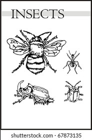 black and white bugs