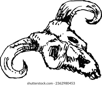 black and white bull skull, line art animal, pen art, ox, animal bone, cow, cow head, skeleton