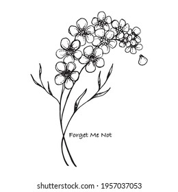 Forget Me Not Black And White Stock Illustrations Images Vectors Shutterstock