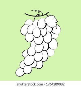 The black and white bunch of grape jn the light green background (vector grphics)