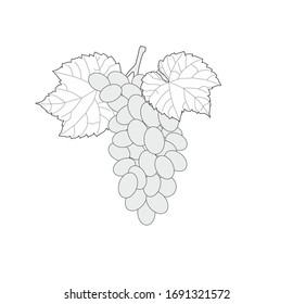 葡萄 ワイン のイラスト素材 画像 ベクター画像 Shutterstock