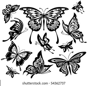 Black and white butterflies