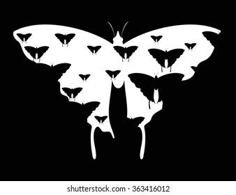Black and white butterflies. Vector background. Abstract.
