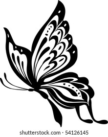 Black and white butterfly