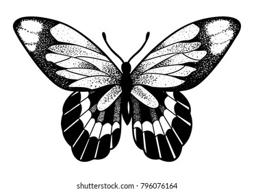 Black and white butterfly