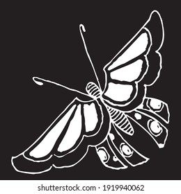 Black and white butterfly with black background vector design