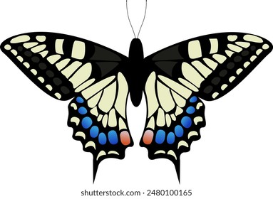 Black and White Butterfly with Blue Spots on White Background. Ethereal Butterfly Wings. Harmony Botanical Wallpaper. Majestic Winged Moth Silhouette Overlay Decor.