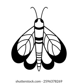 Black and white butterfly clipart. Butterfly doodle. Cute tropical character in cartoon flat style. Hand drawn vector illustration.