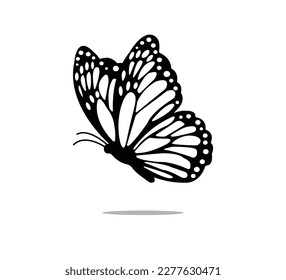 Black and white butterfly illustration, hand drawn vector design