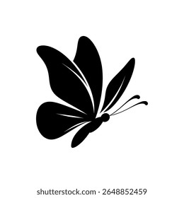 Black and white butterfly illustration on white background