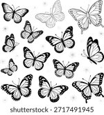 Black and white butterfly on a white background nature