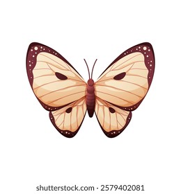 Black and white butterfly on white background. Cabbage butterfly, colorful winged insect. Vector cartoon illustration