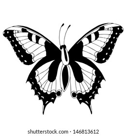 Black and white butterfly on simple white background 