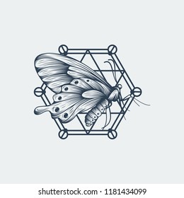 Black and white butterfly over sacred geometry sign, isolated vector illustration
