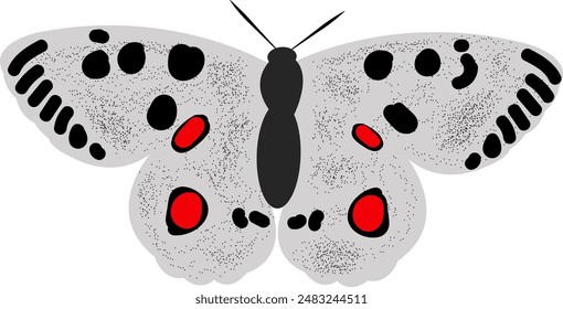 Black and White Butterfly with Red Spots on its Wings. Enchanting Apollon Parusnik Moth with Feathery Wings. Nature Aesthetic Delight