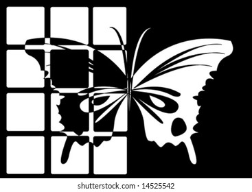 Black and white butterfly shape
