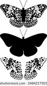 Black and White Butterfly Silhouettes with Ornamental Patterns on a White Background. Nature Inspired Designs in Monochrome. Artistic Wildlife Wings Shapes in Symmetry.