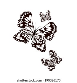 black and white butterfly. Vector 