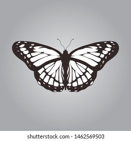 Black and White Butterfly. Vector illustration