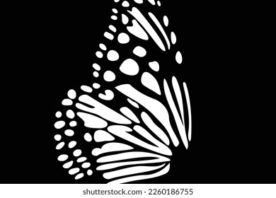 Fondo del ala de la mariposa blanca y negra