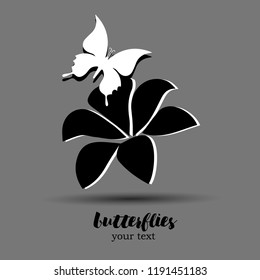 Black and white butterfly wings on a white background. Exotic Insect. Beautiful background of butterflies black and white colors. Butterfly with flowers vector
