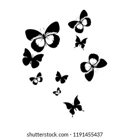 Black White Butterfly Wings On White Stock Vector (Royalty Free ...