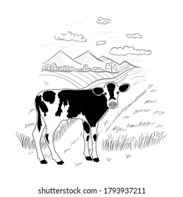 Black and white calf on a rural background. Cow standing. Hand drawn landscape.
