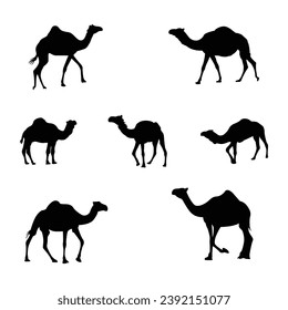 Black and white camel Silhouettes. Vector 