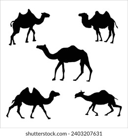 Black and white camel Silhouettes. Vector