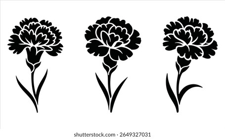 Black and White Carnation Flower Vector Illustration - Floral Art Design.