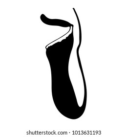 Black and white carnivorous "Pitcher Plant" (or Nepenthes, Monkey Cup, Bauchige Kannenpflanze) silhouette - Eps10 vector graphics and illustration