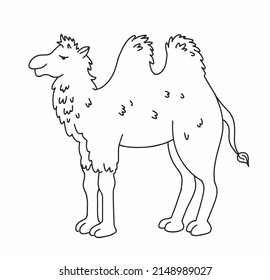 Camellos de dibujos animados en blanco y negro. Ilustración dibujada a mano del vector aislada en el fondo blanco