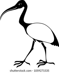 Black and white cartoon ibis on white background